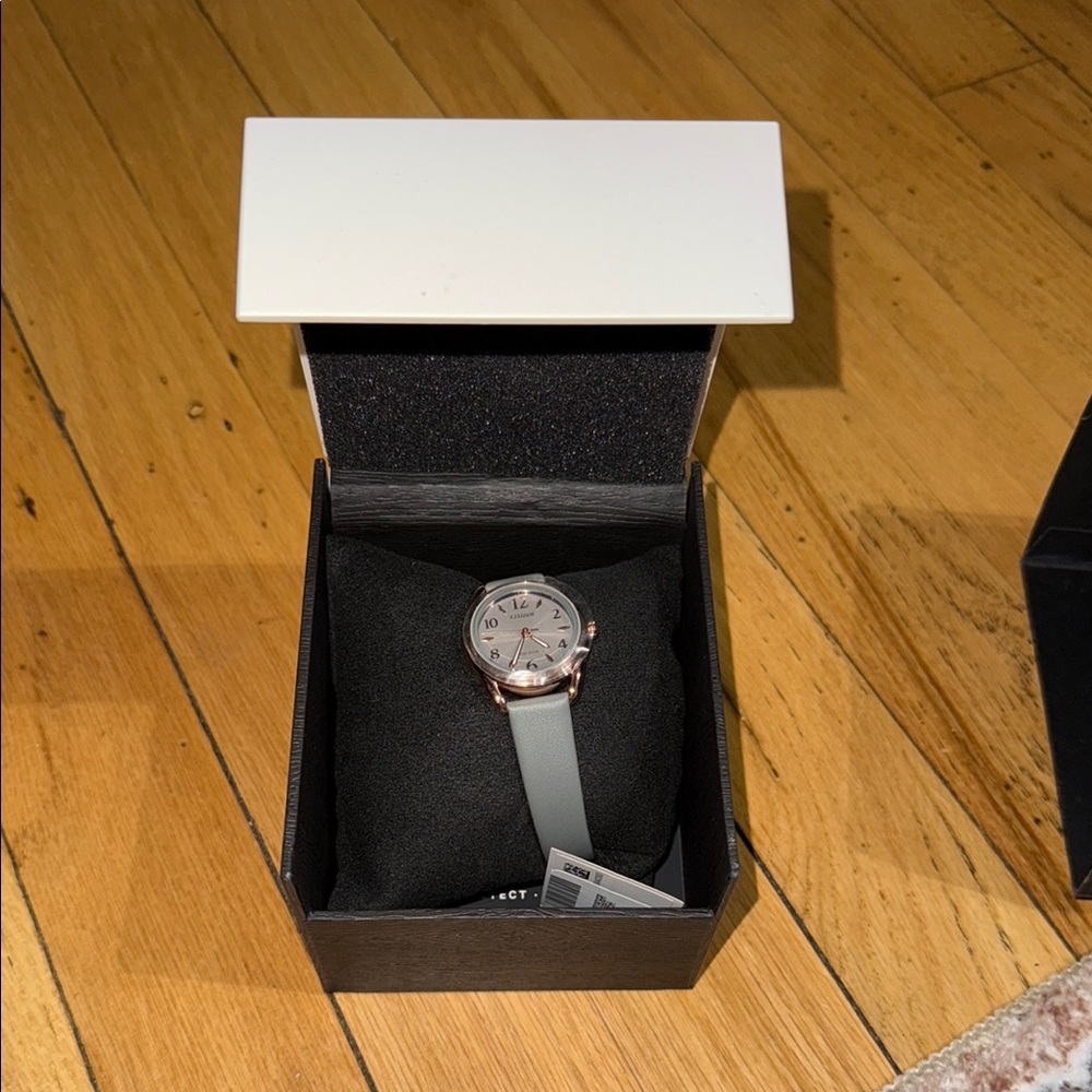 Citizen Gray Minimalist Watch
